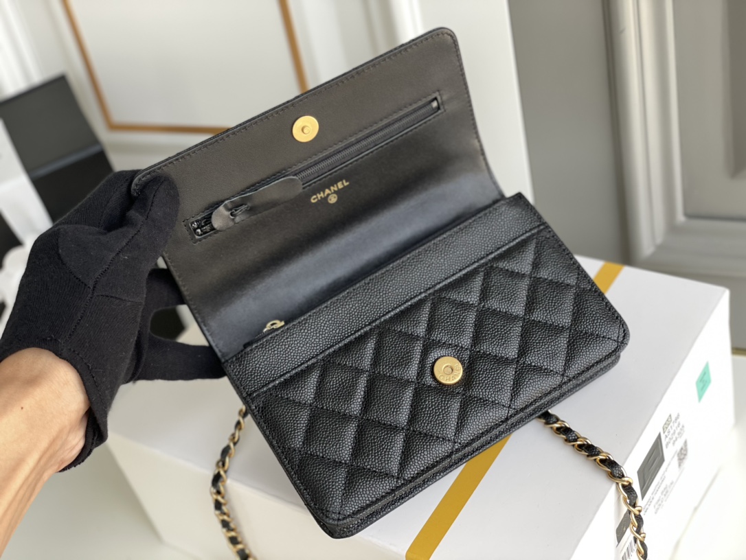 Chanel WOC Bags